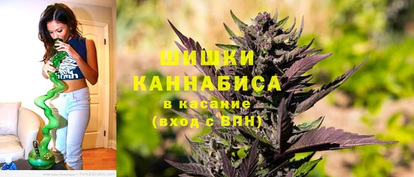 соль ск Вяземский