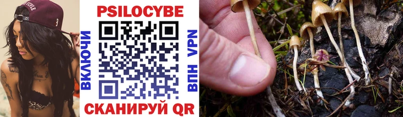 Псилоцибиновые грибы Psilocybe  Купить где  Лиски 